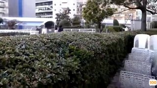 免费精品国产自在在线,成人视频高清免费观看